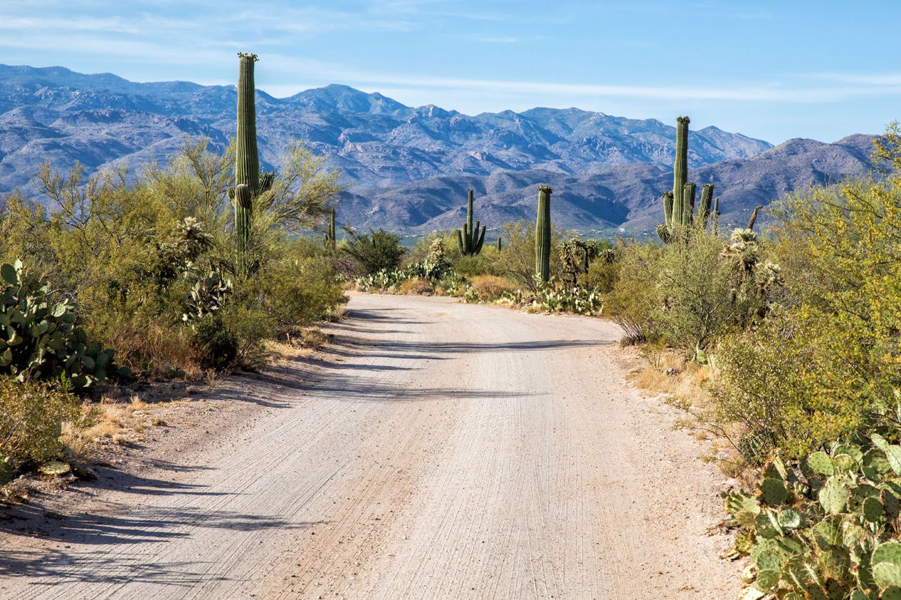 Saguaro Road