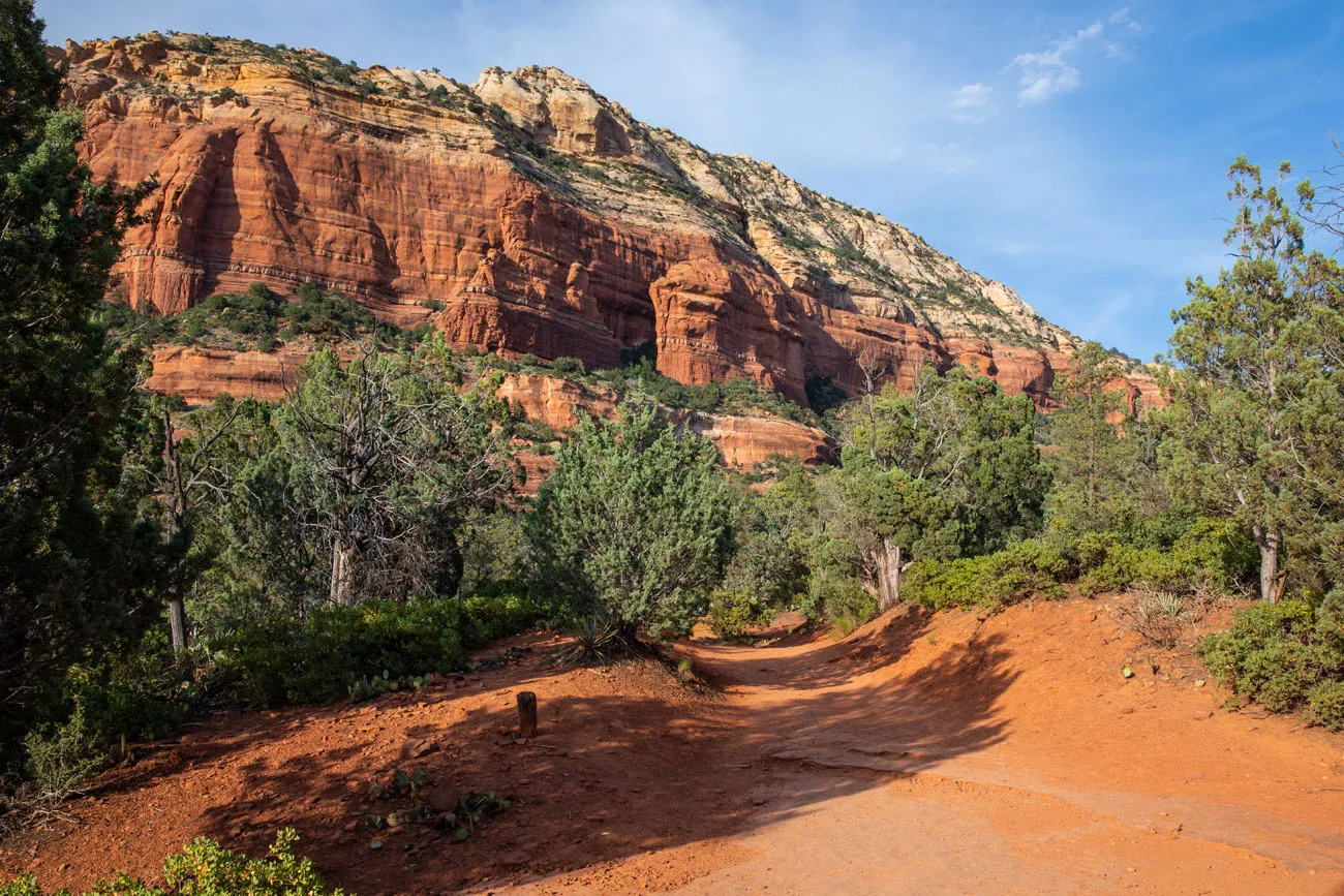 View of the Trail