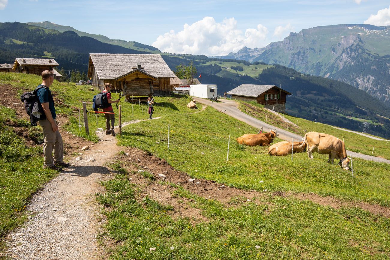 Alpiglen | One Day in the Jungfrau Region