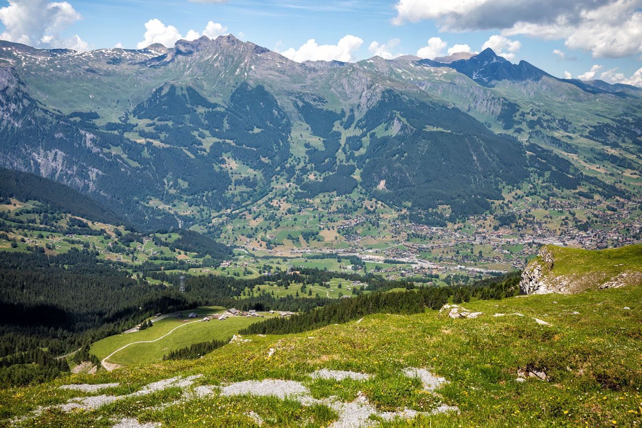 View of Grindelwald