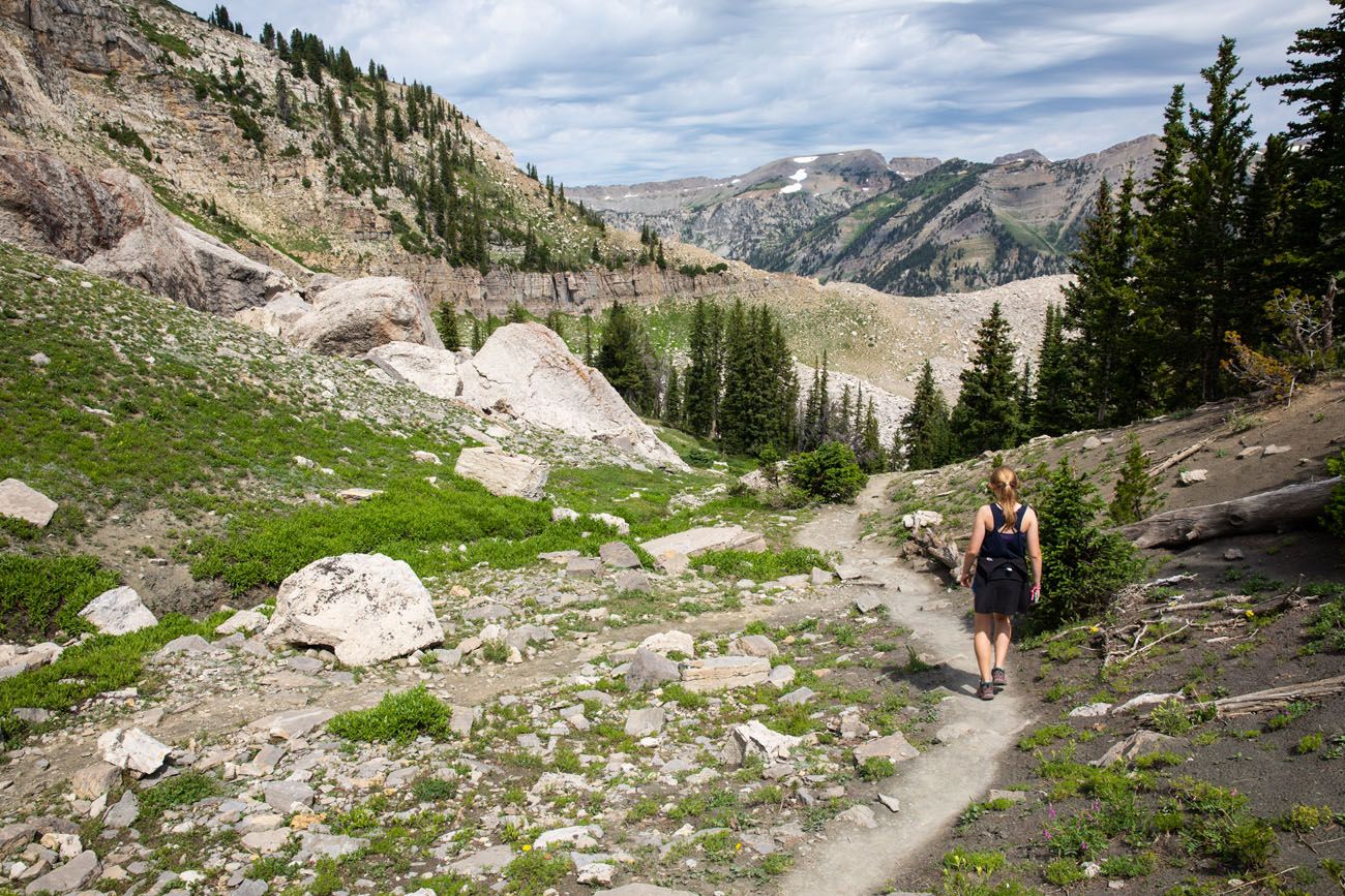 Jackson Hole Hike