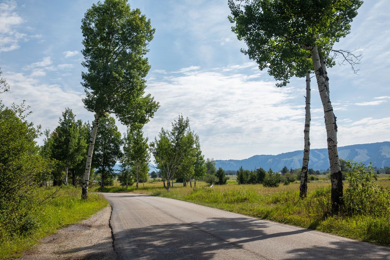 Moose Wilson Road Grand Teton