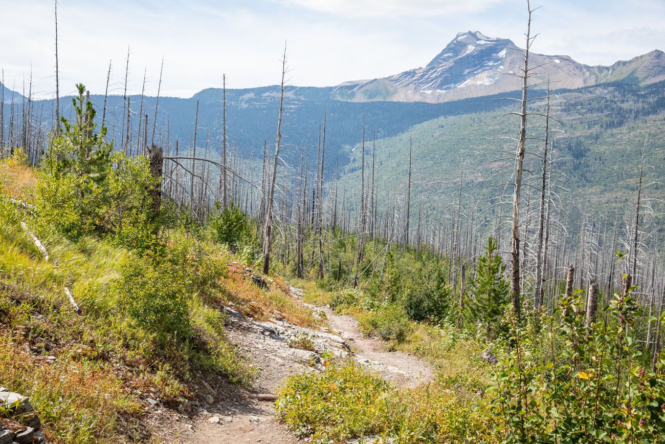 The Loop Trail Glacier