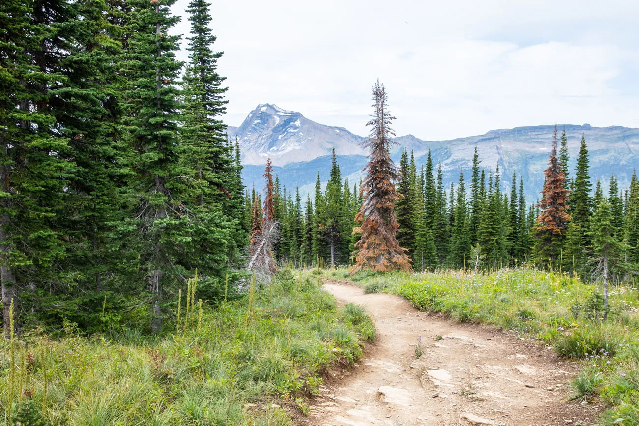 The Loop Trail