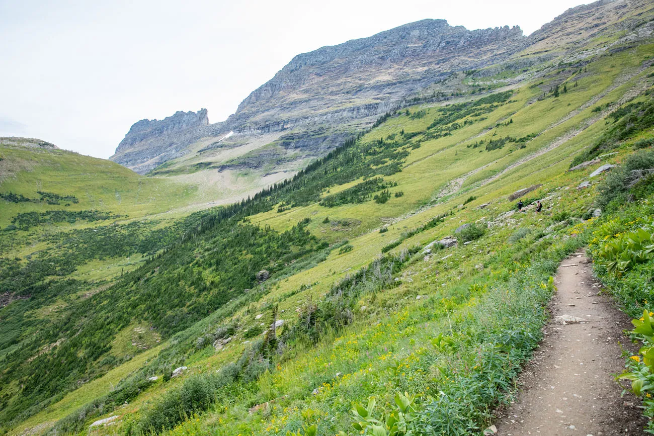 To Haystack Pass