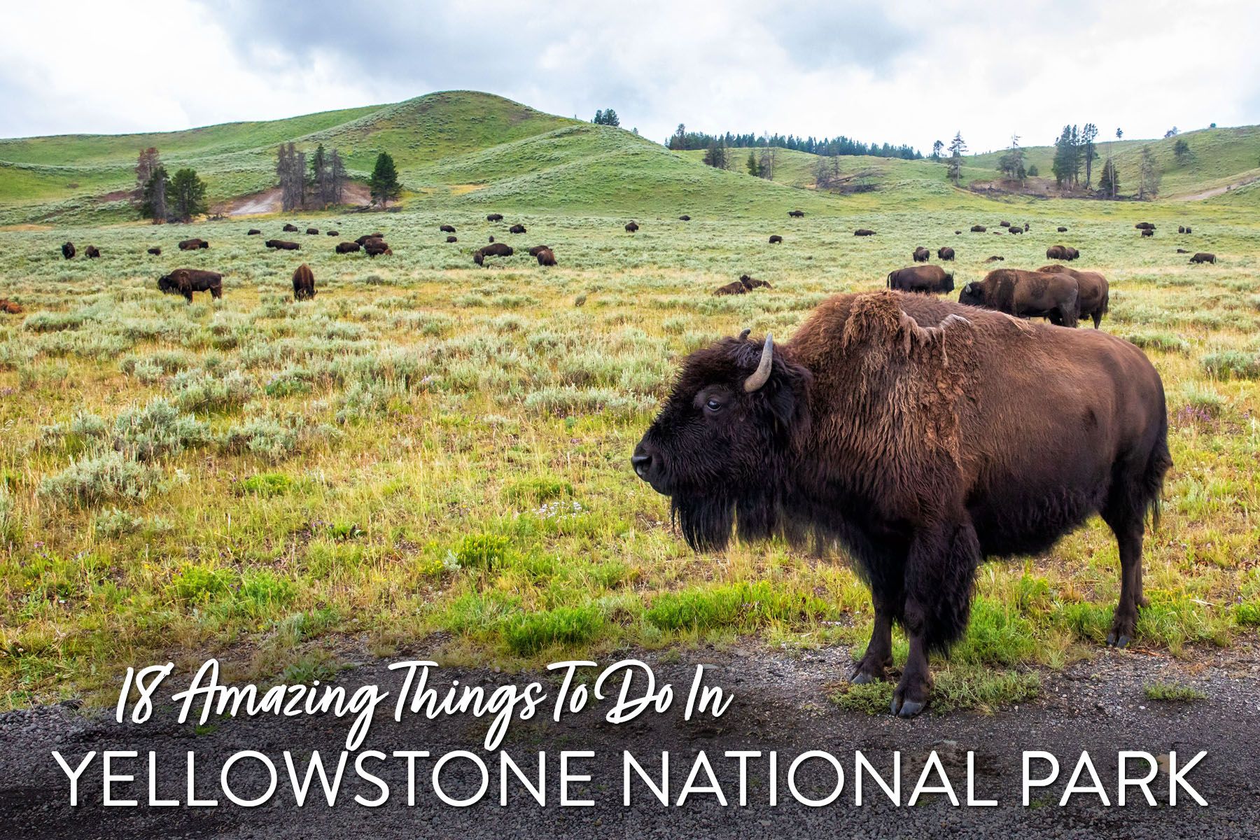 Best things to do in Yellowstone