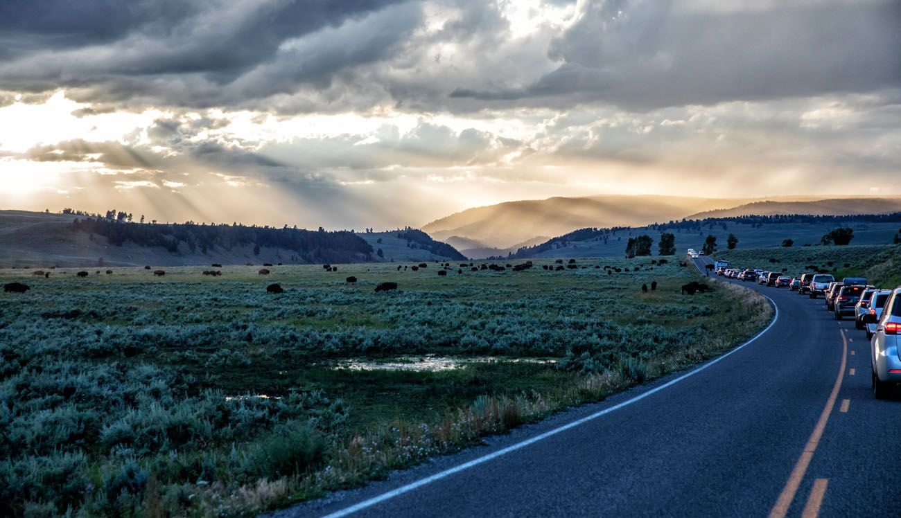 Best things to do in Yellowstone photo