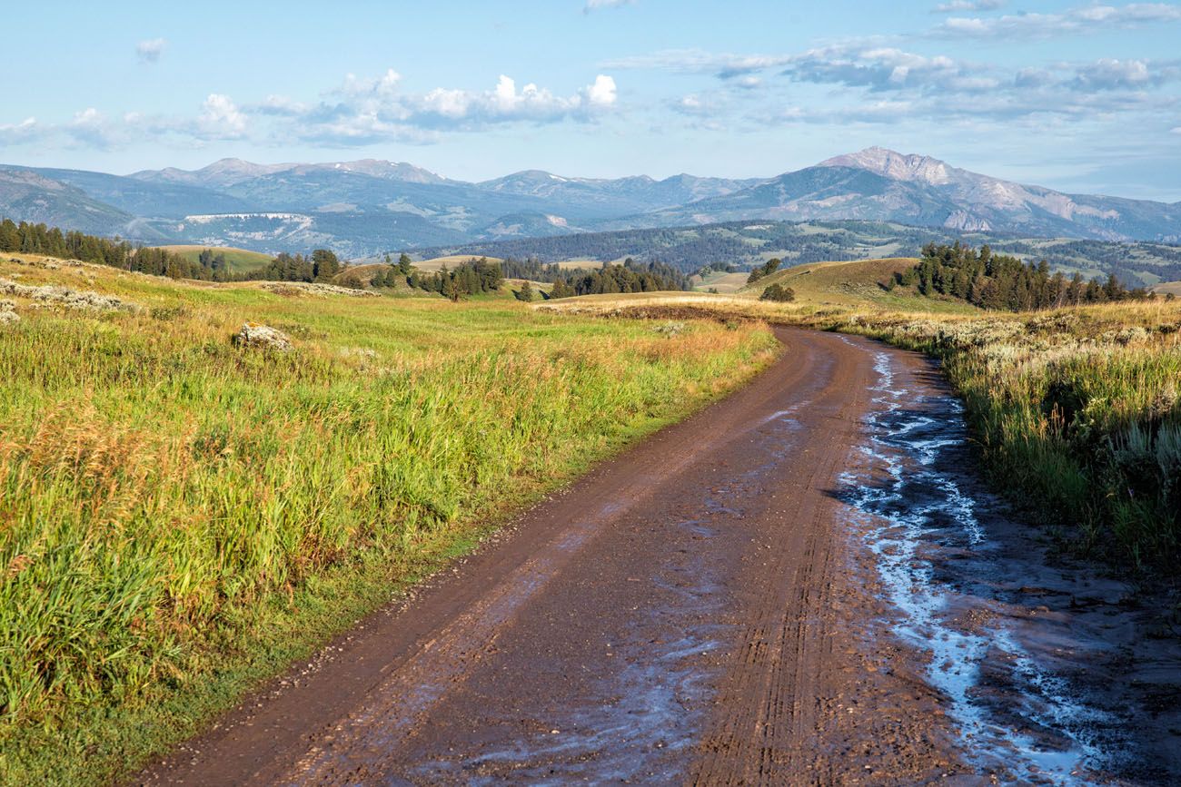 Blacktail Plateau Drive best things to do in Yellowstone