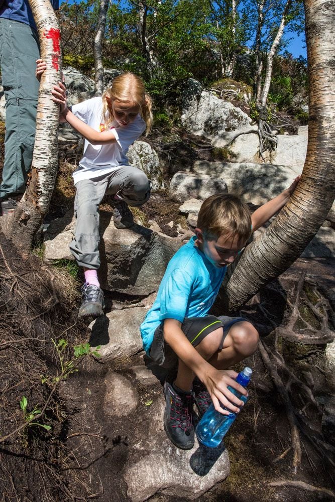 Hike Pulpit Rock with Kids