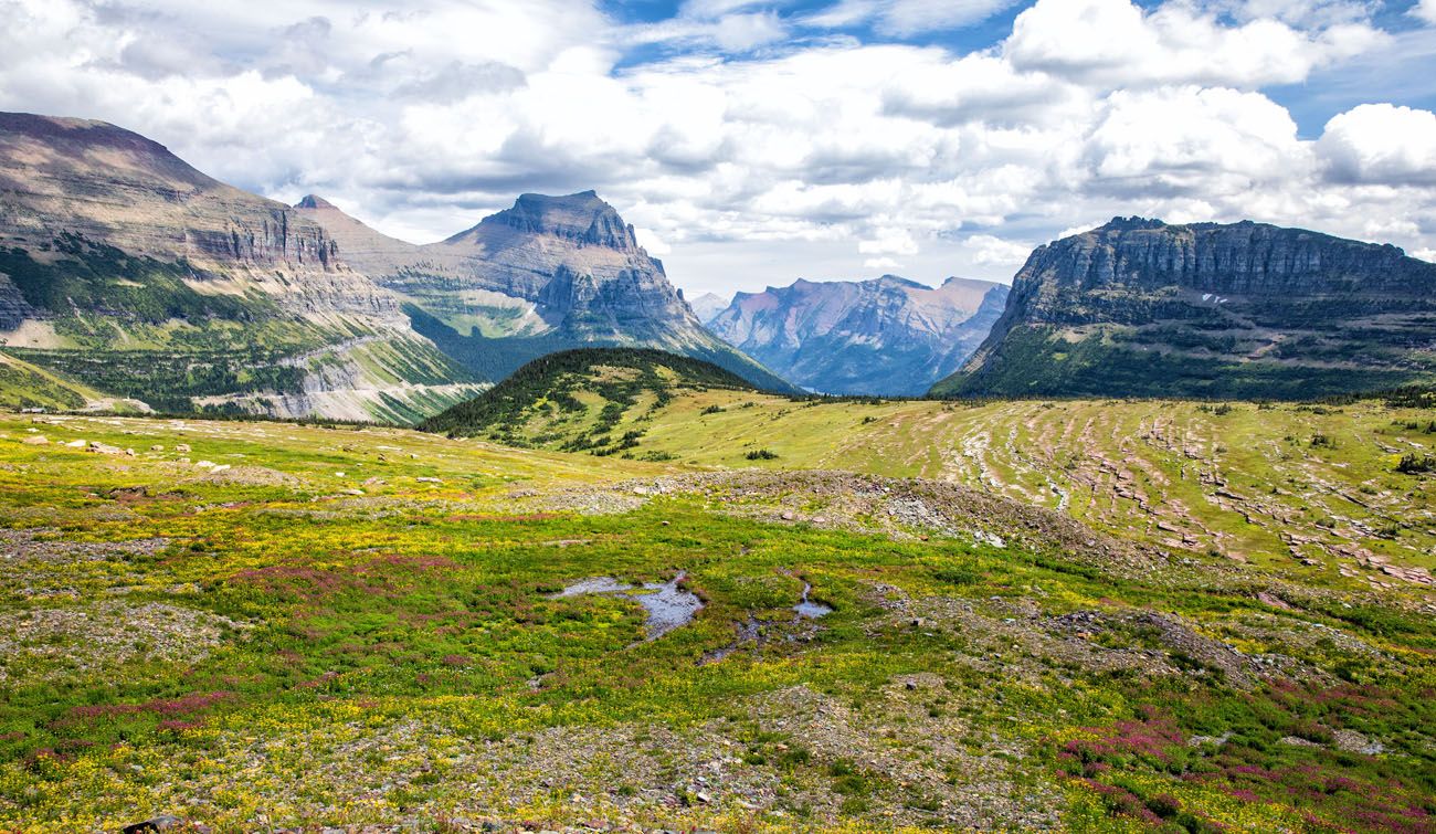 Logan Pass Glacier National Park