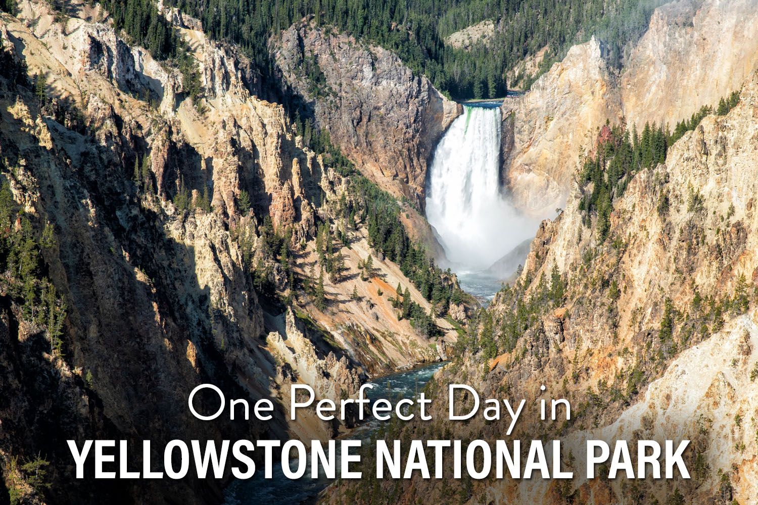 One Day in Yellowstone