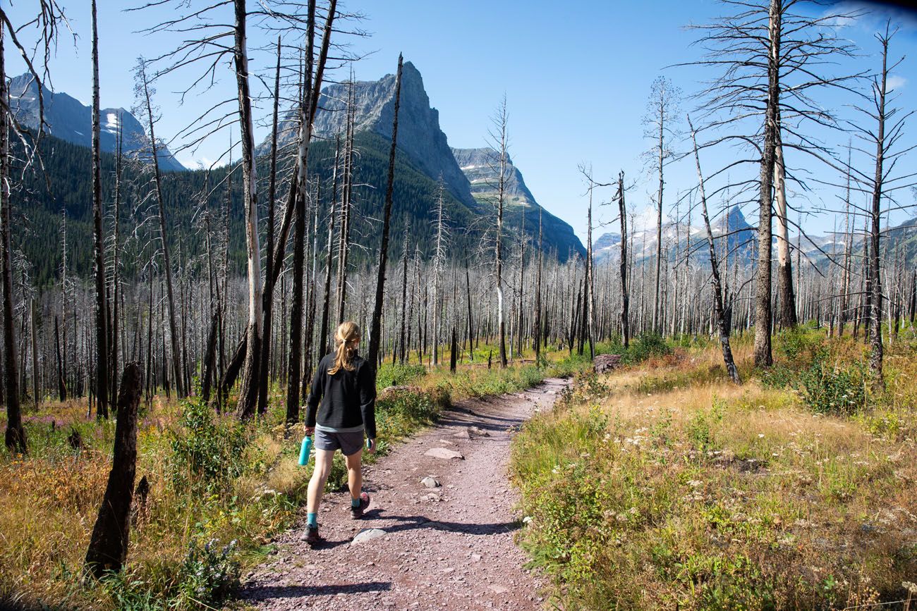 Trail to St. Mary's Falls Glacier National Park