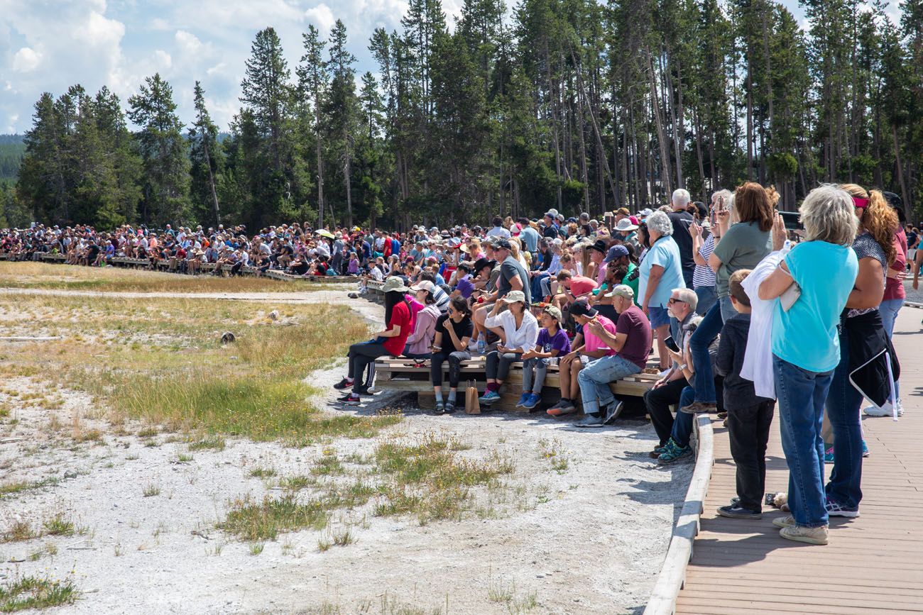 Yellowstone in August