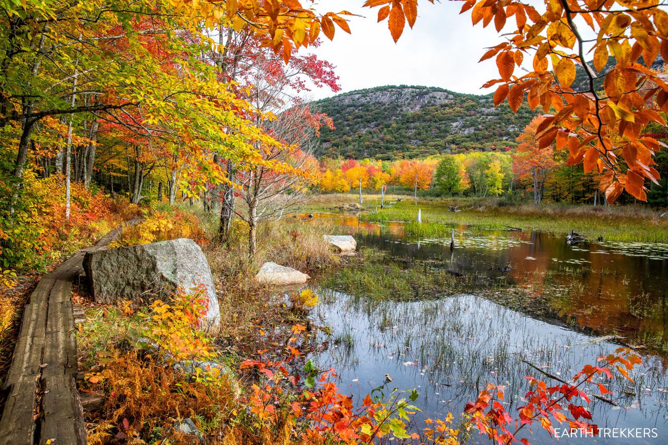 Acadia Fall Colors