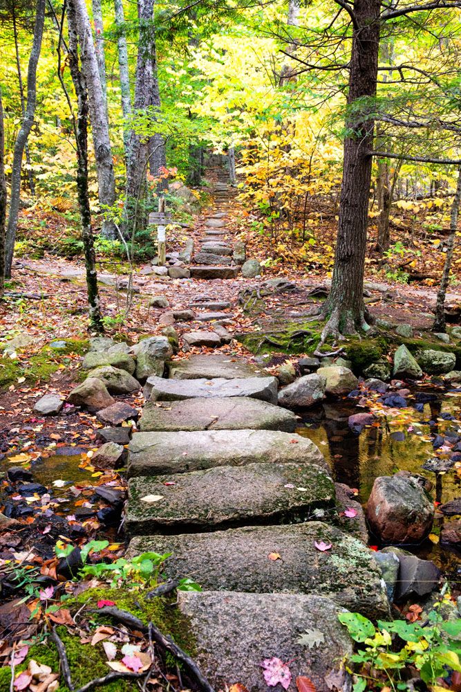 Acadia Hiking Trail