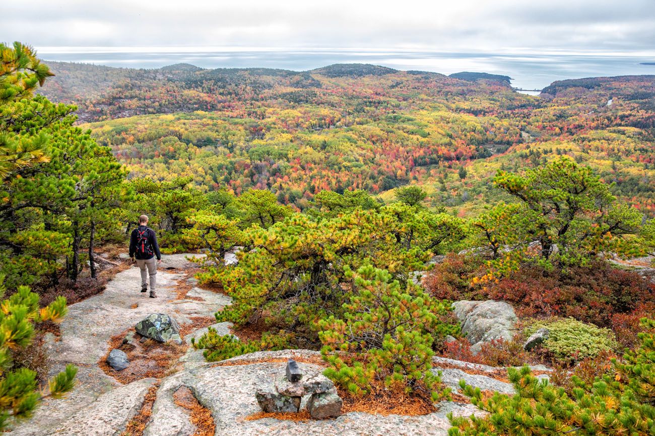 Dorr Mountain View