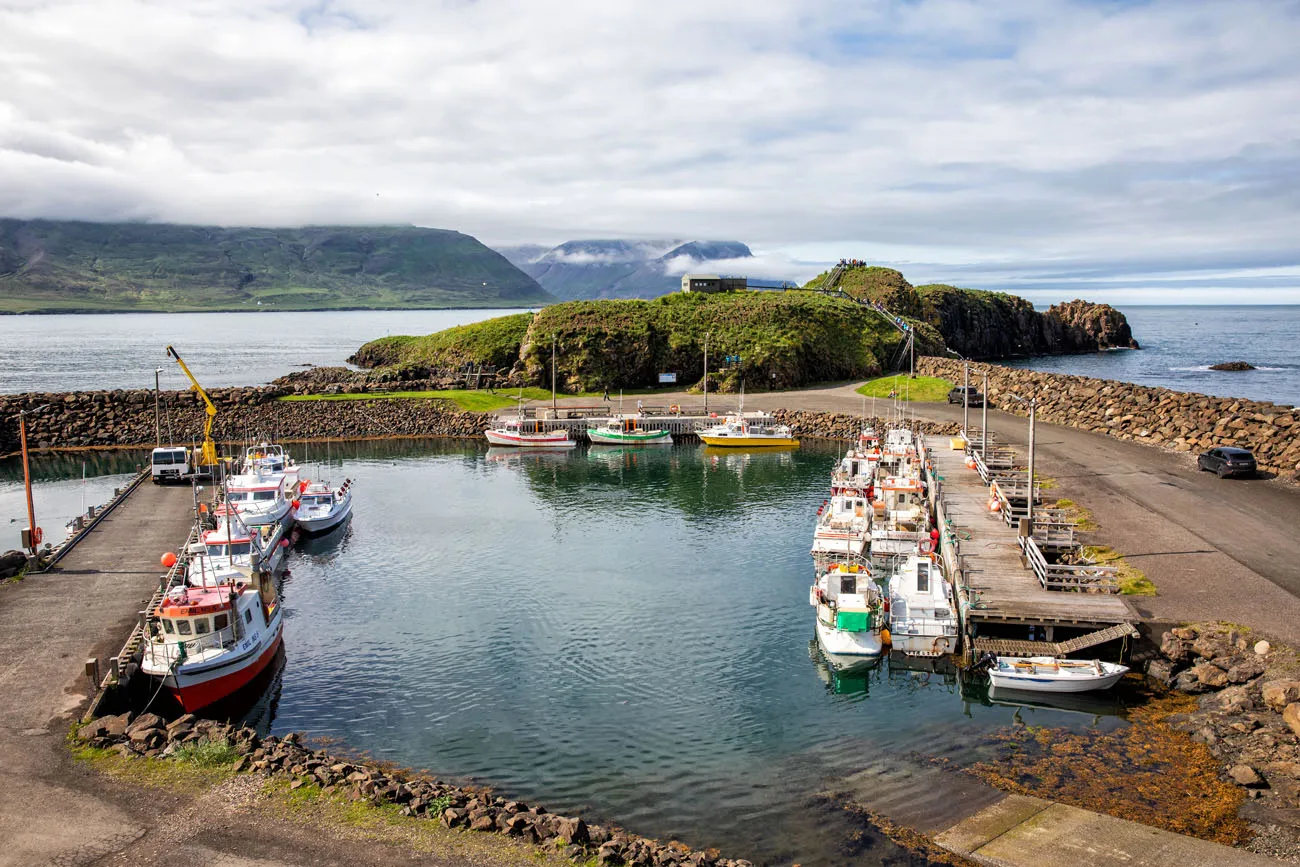 Puffin Marina Iceland