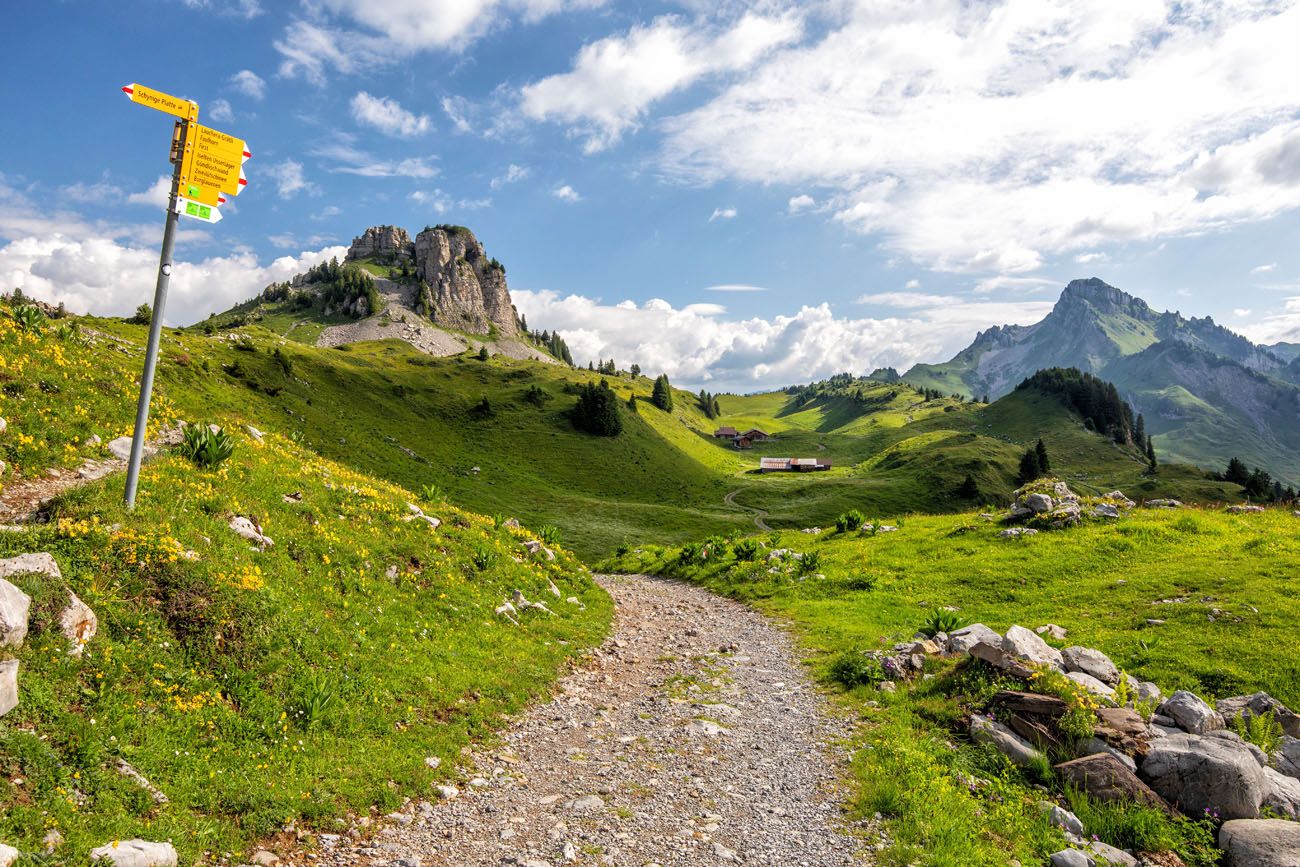 Schynige Platte Hike