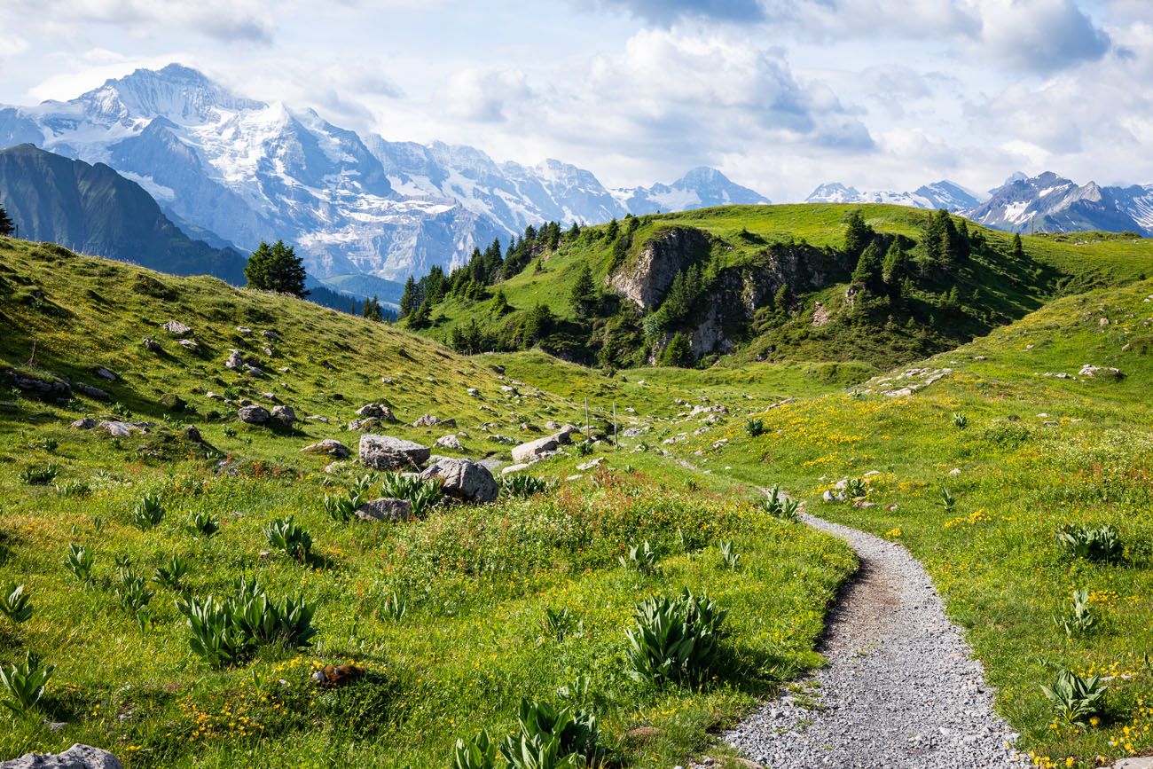 Switzerland Hiking Trail Schynige Platte to Faulhorn to First