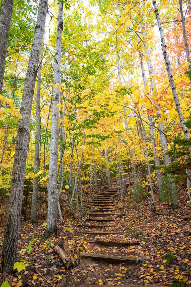 Best Time to Visit Acadia