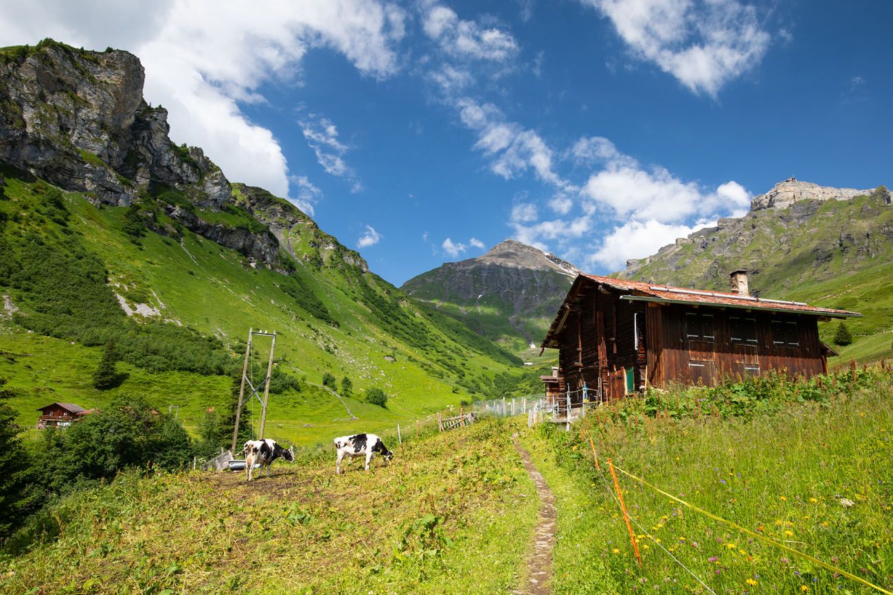 Farm on Northface Trail