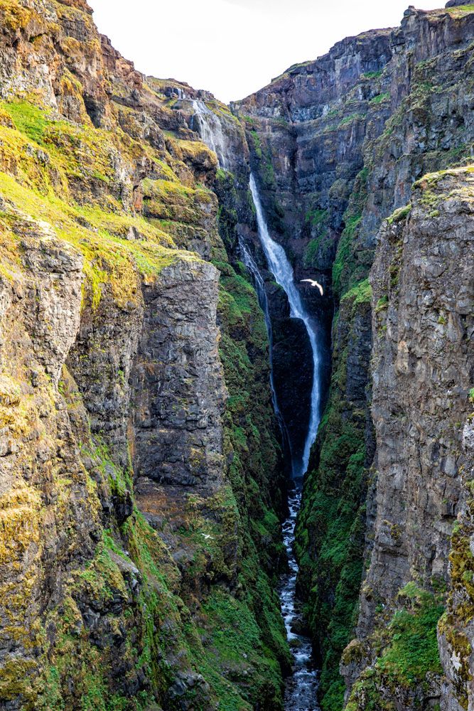 Hike to Glymur Waterfall