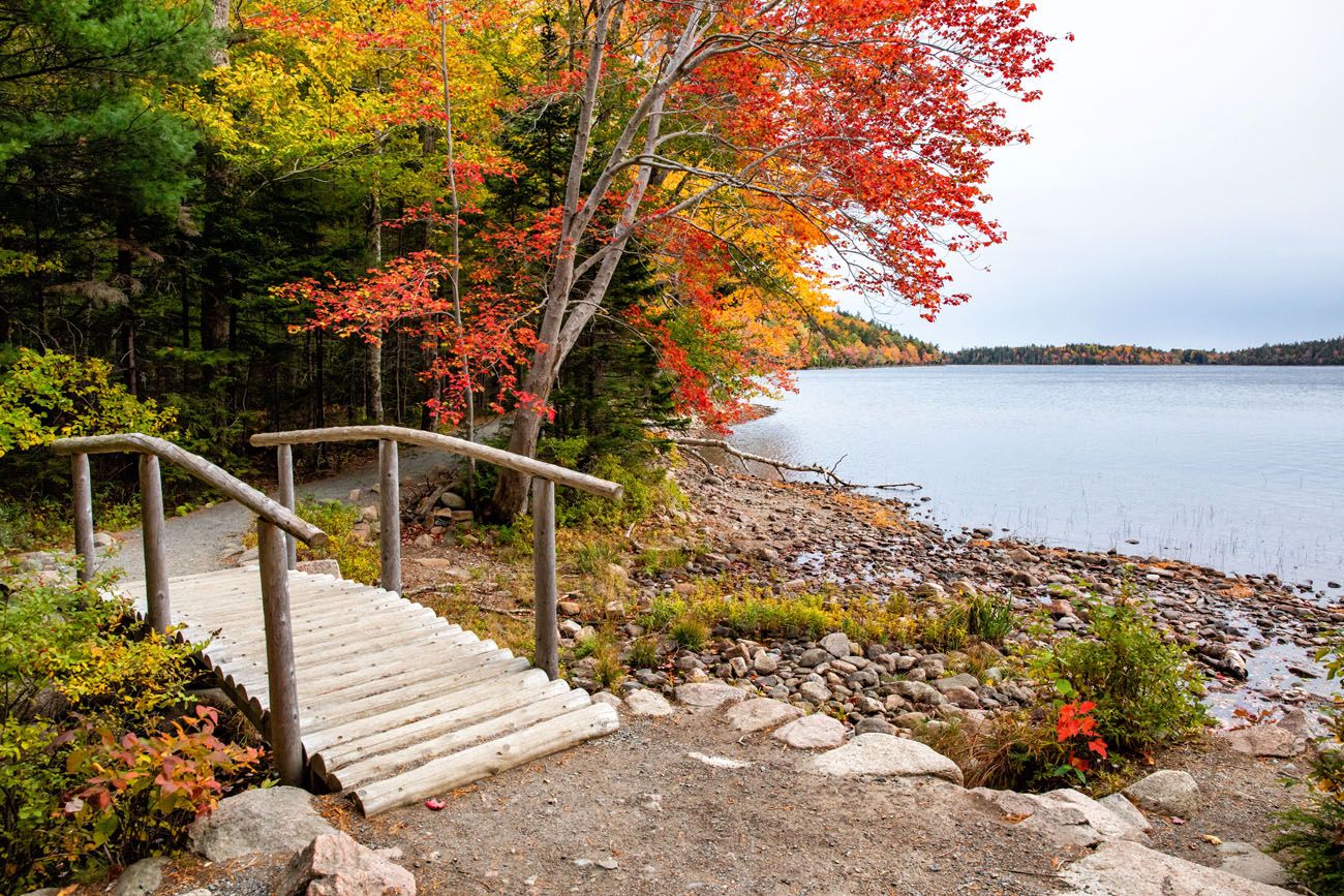 Jordan Pond Trail Acadia