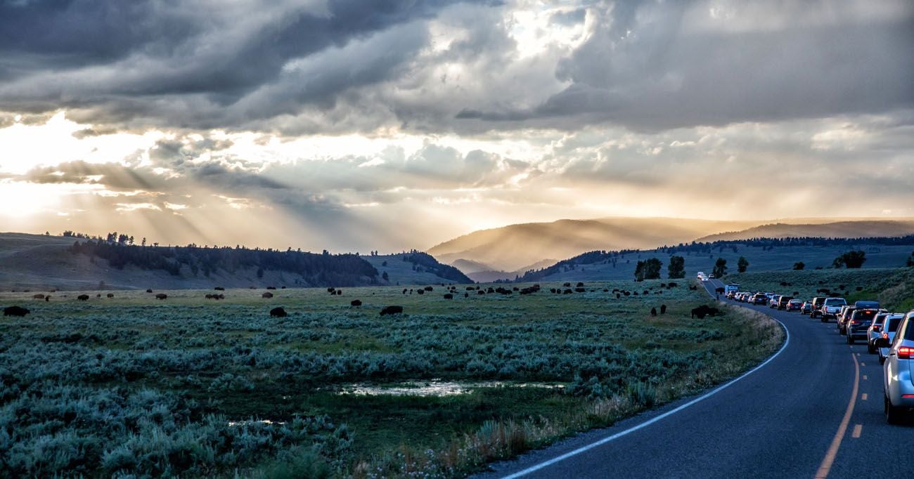 Lamar Valley Yellowstone