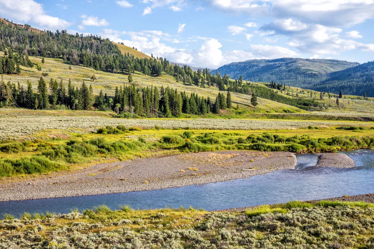 Lamar Valley Grand Teton Yellowstone and Glacier