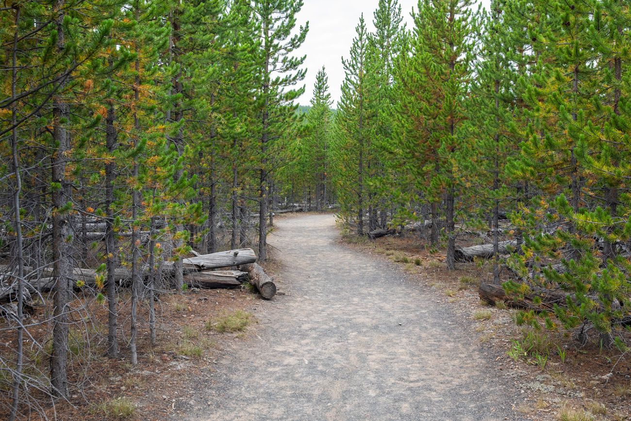 Trail to Fairy Falls