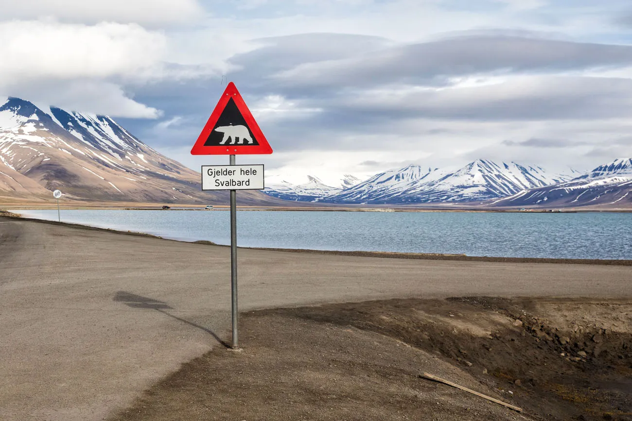 Visit Svalbard