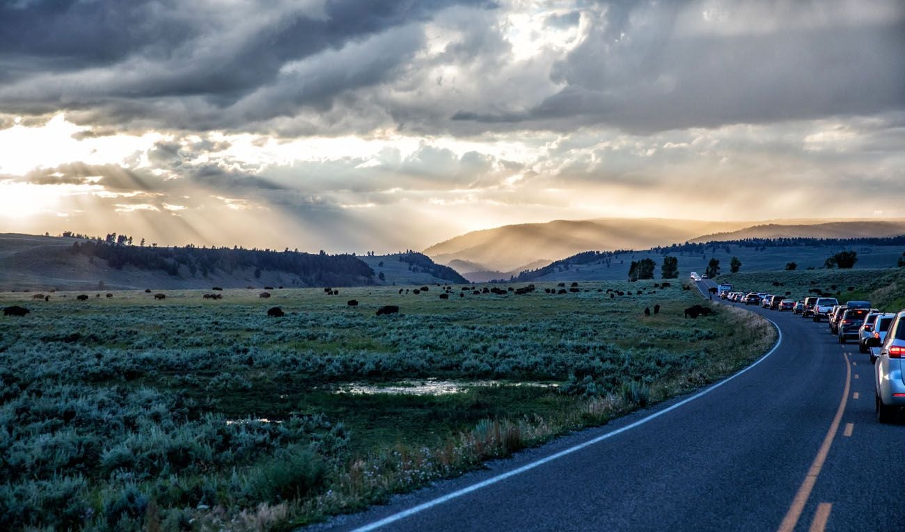 Lamar Valley Sunset