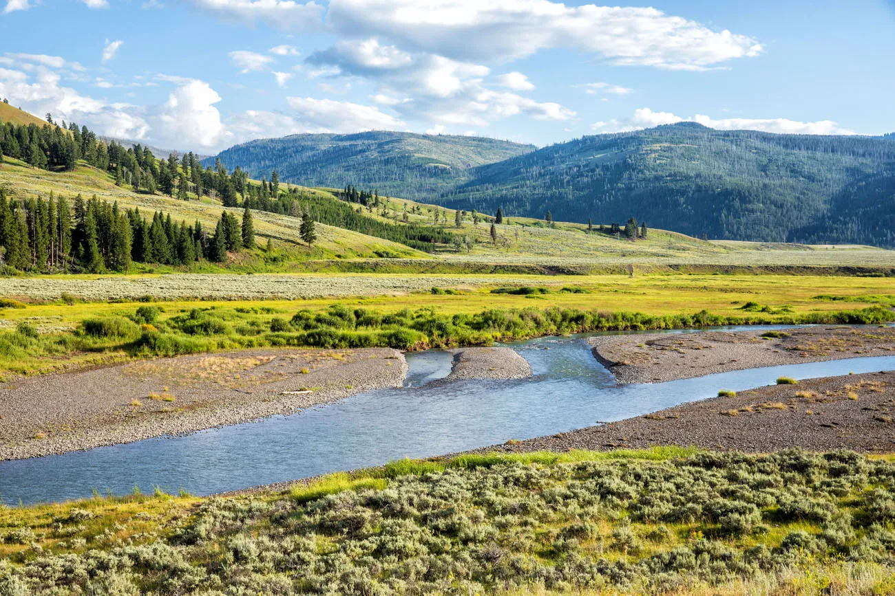 Lamar Valley Yellowstone Itinerary