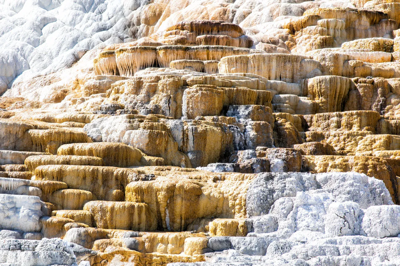 Mammoth Hot Springs Yellowstone Itinerary