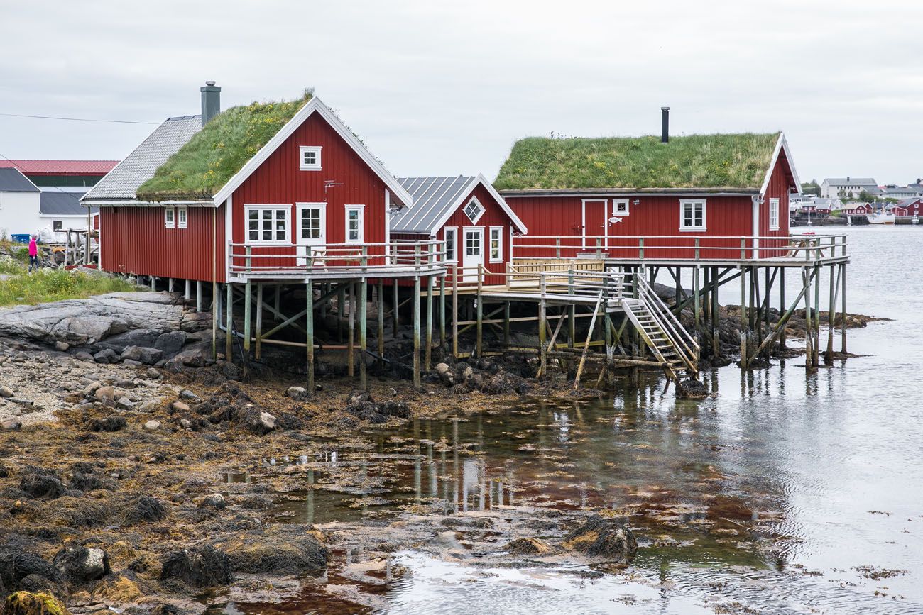 Rorbuer Lofoten