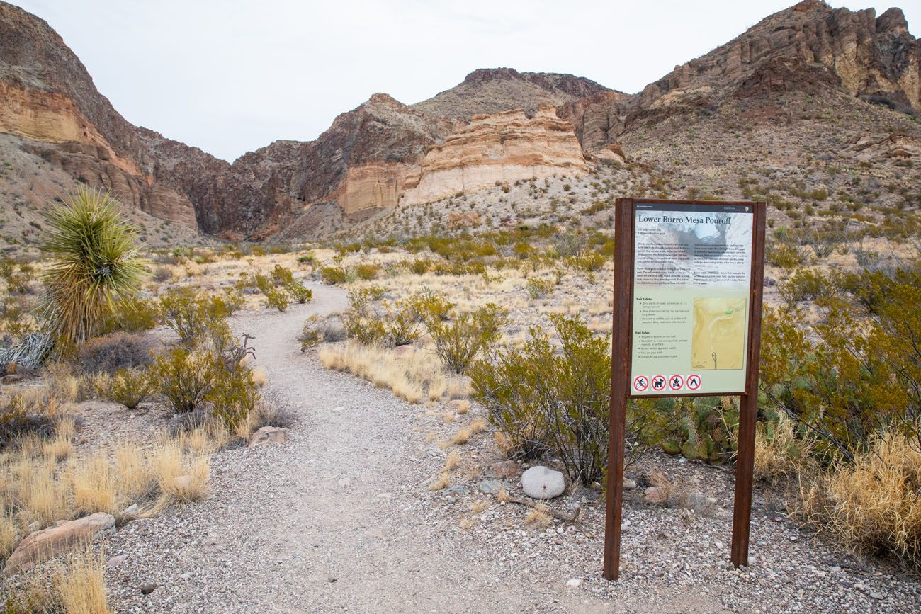 Best Hikes in Big Bend Burrow Mesa