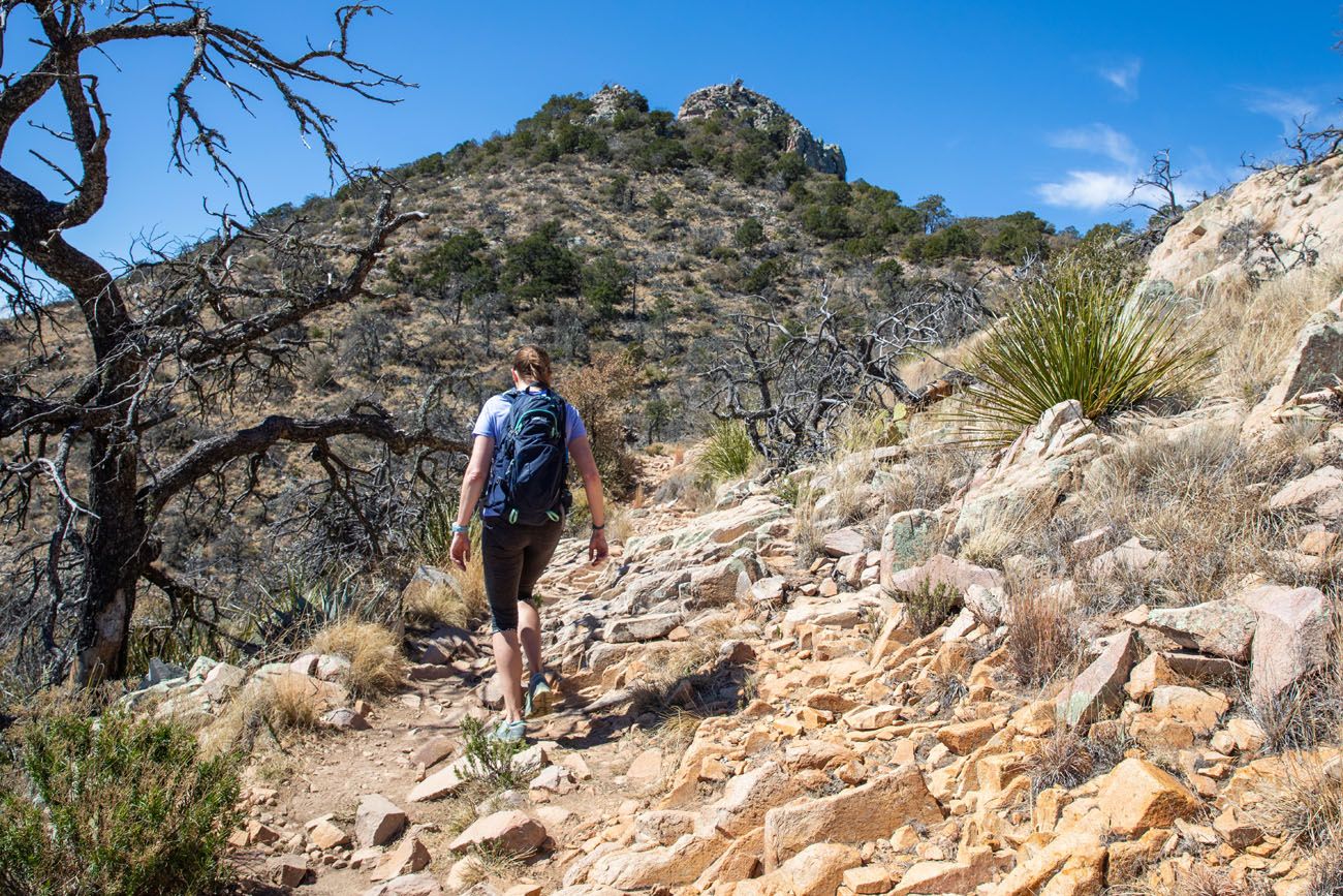 Emory Peak Trail