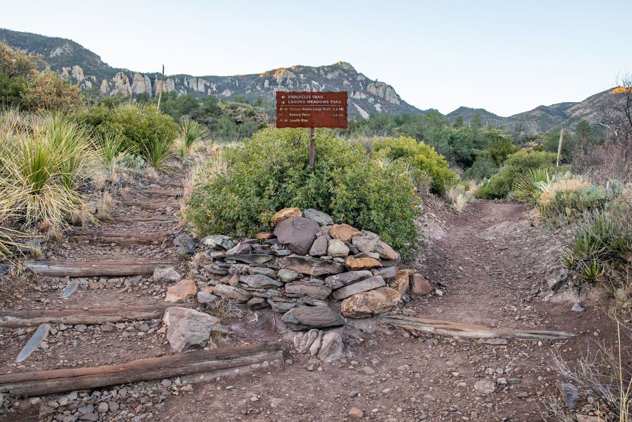 Fork in the Trail