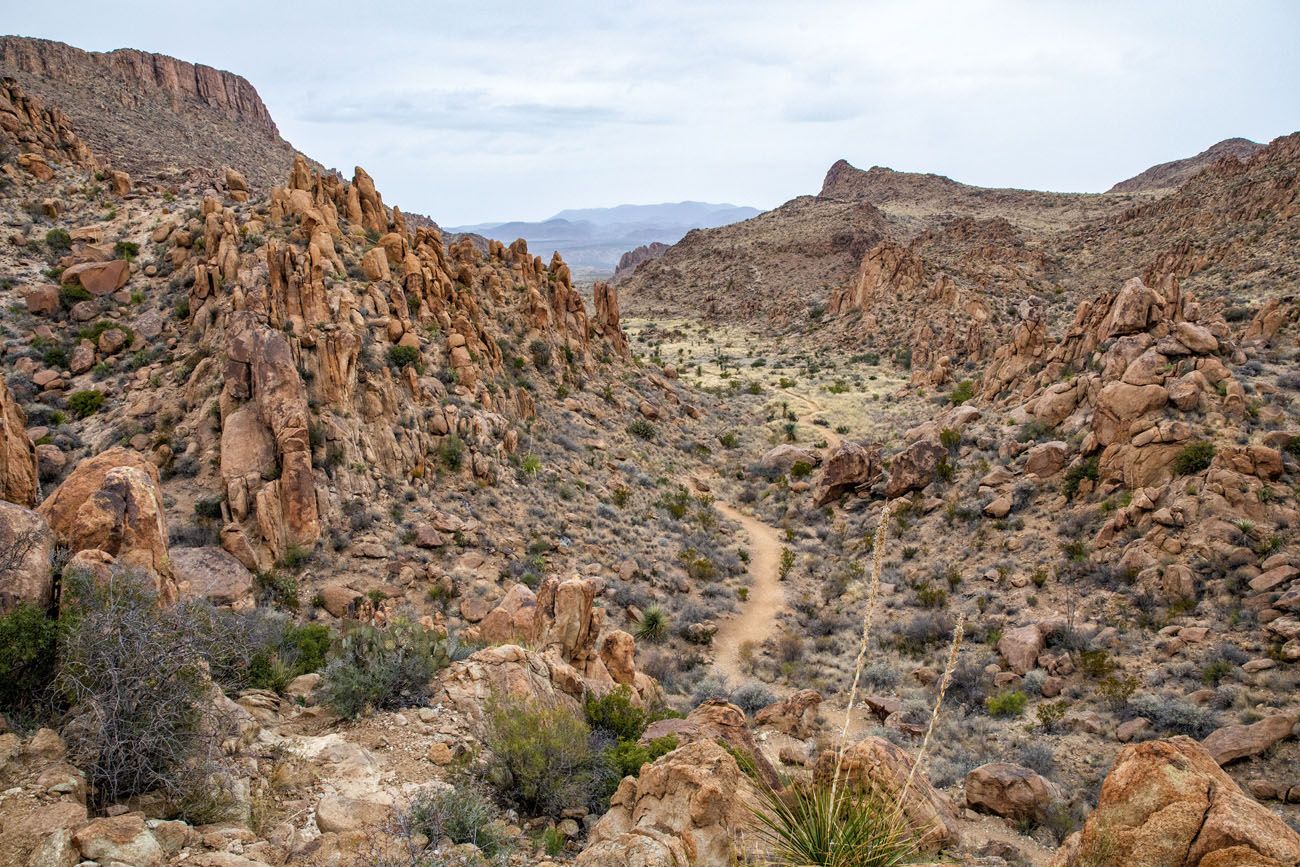 Grapevine Hills Trail