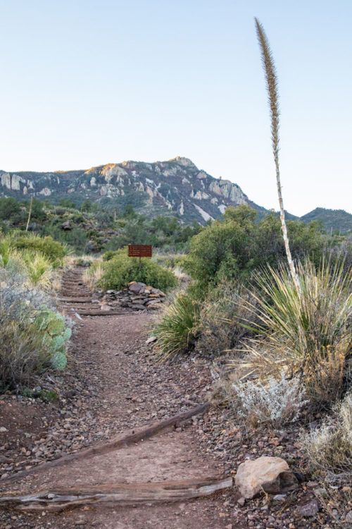 Southern Rim Trail South Rim Trail Loop + Emory Peak | Complete Hiking Guide