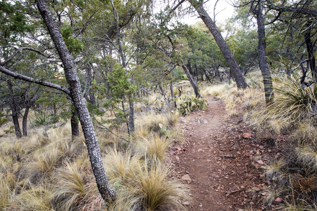 Hiking Trail South Rim Trail