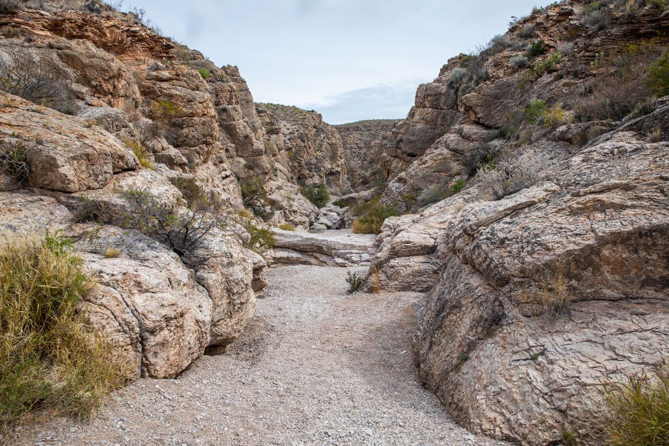 Hiking in Big Bend