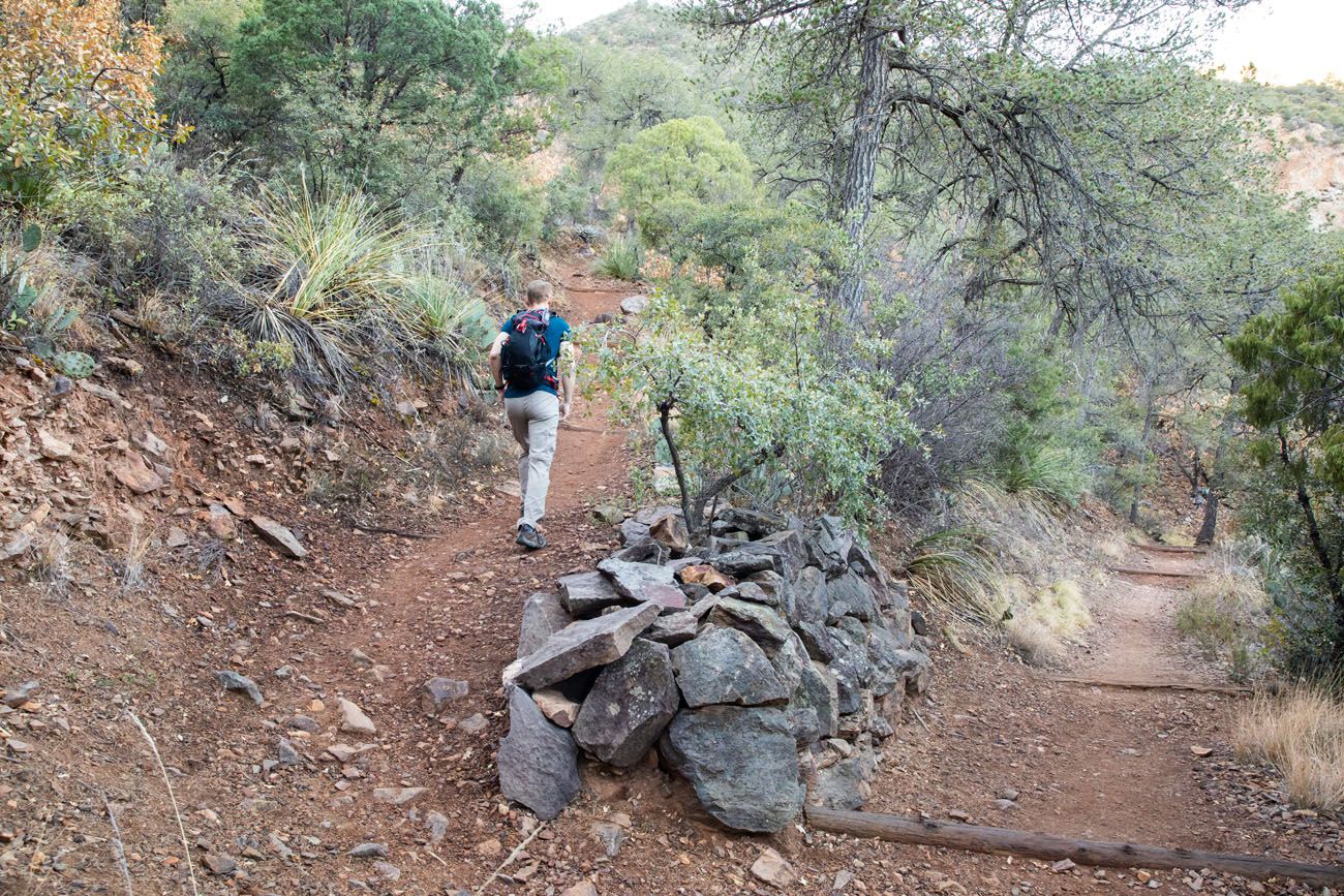 Laguna Meadows Big Bend South Rim Trail