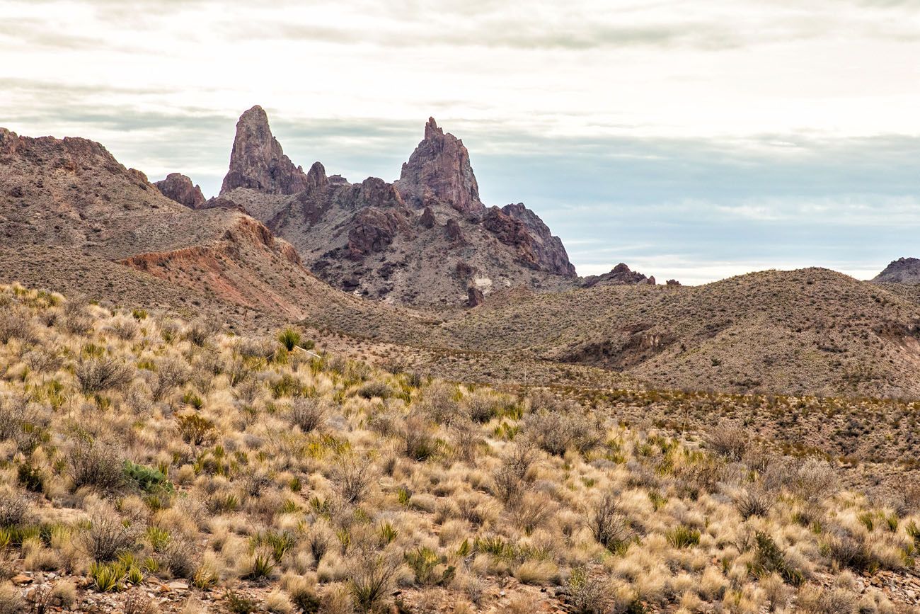 Mule Ears Big Bend