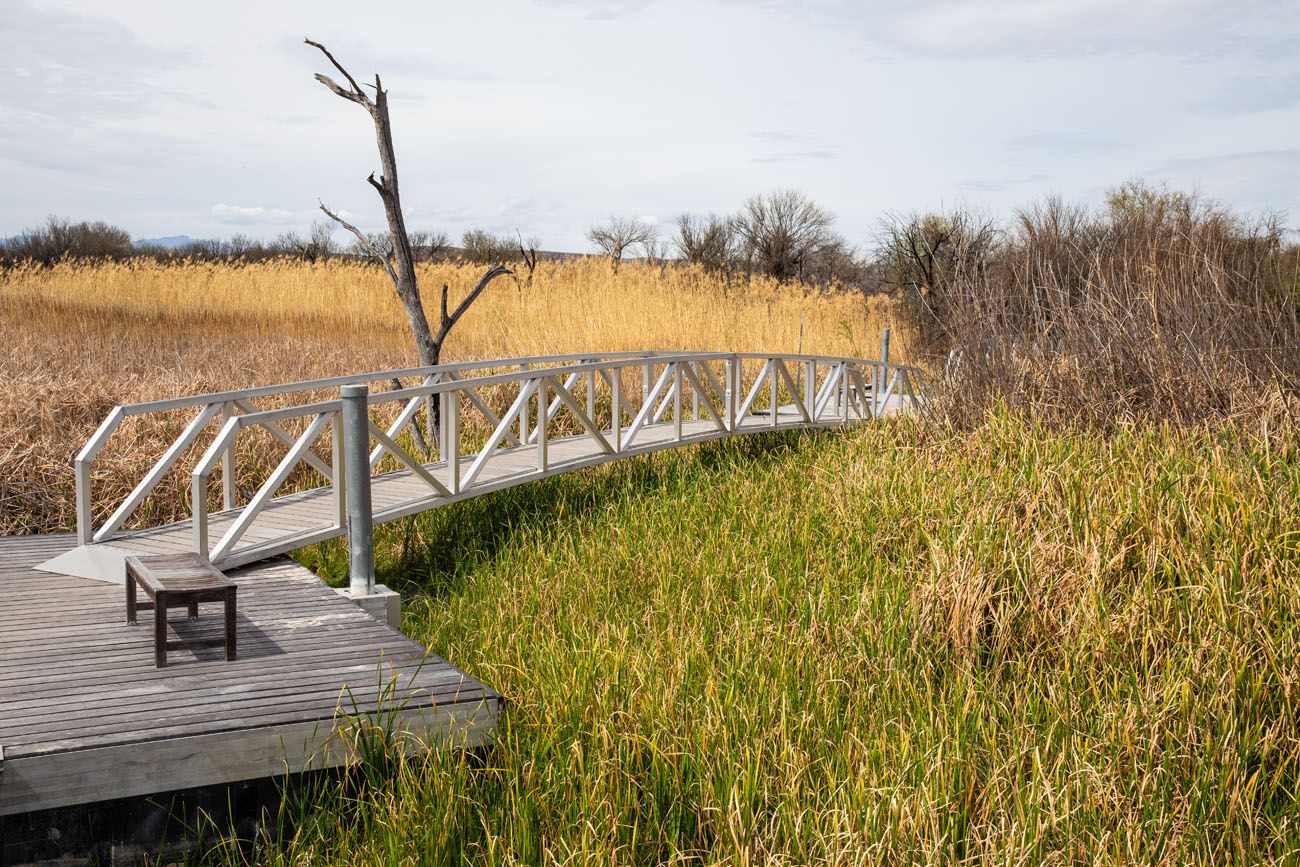 Rio Grande Nature Trail