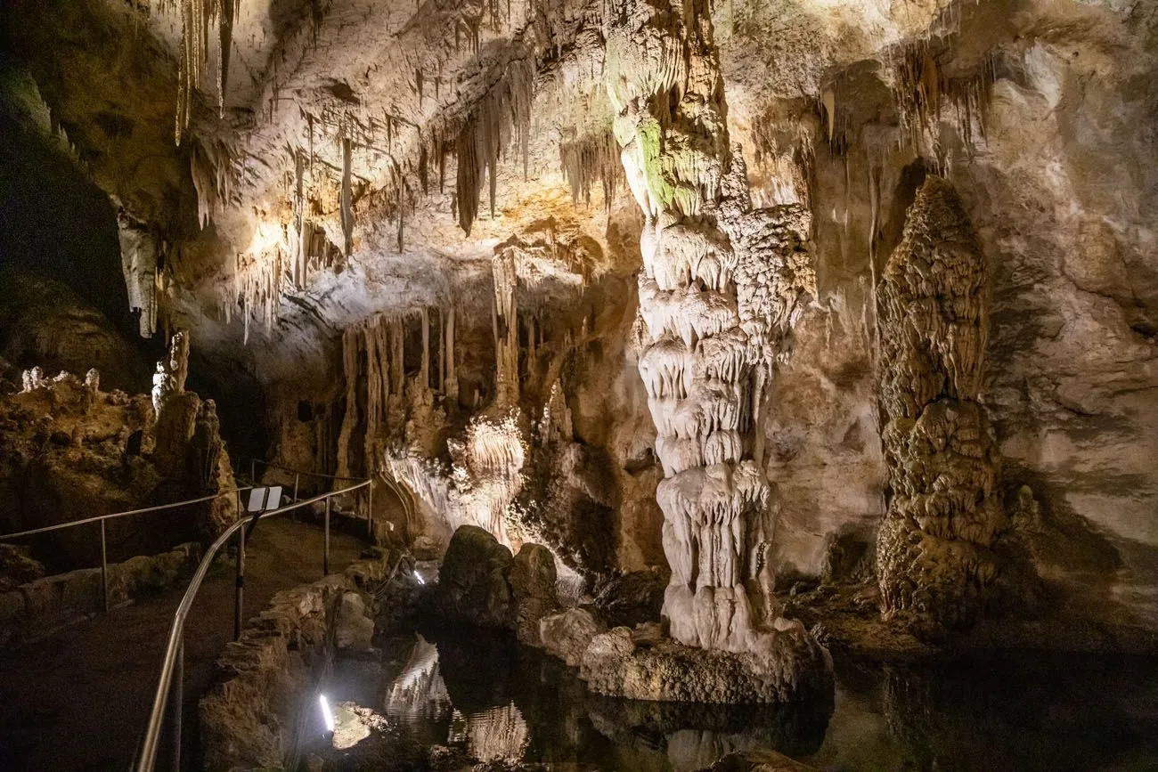 Best of Carlsbad Caverns