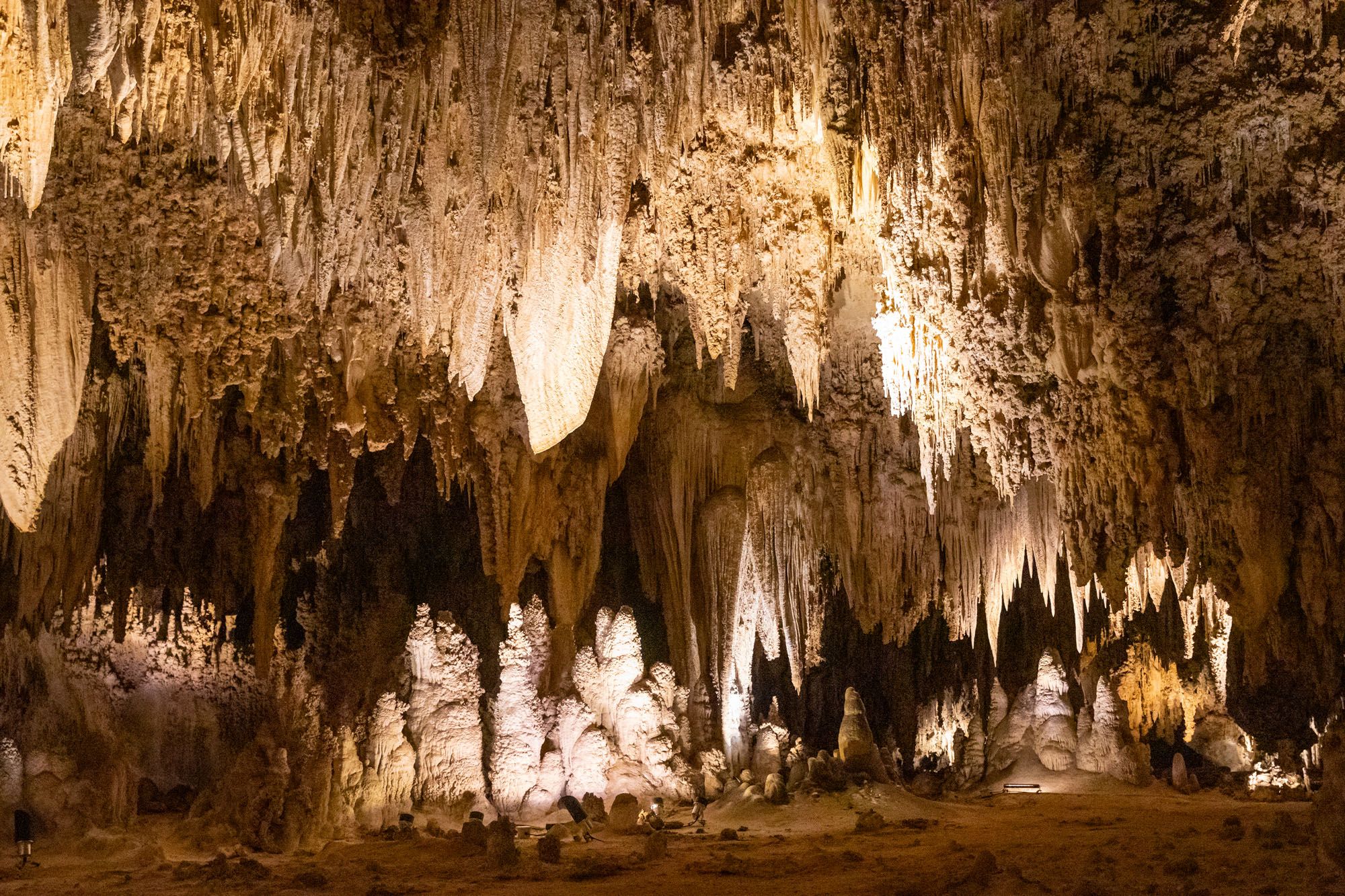 Carlsbad Caverns Travel Guide | Best National Parks in February