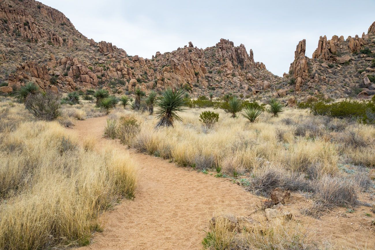 Grapevine Hills Trail