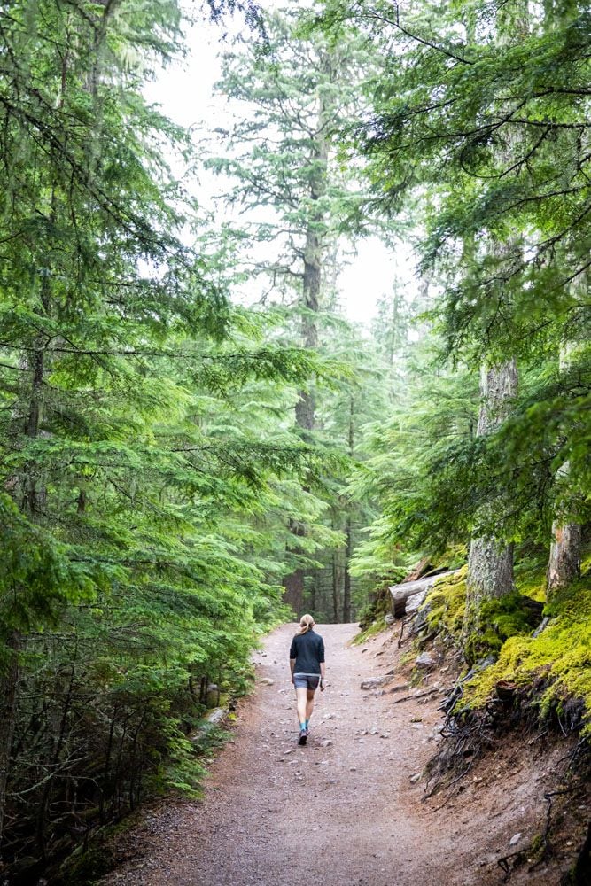 Hike to Avalanche Lake