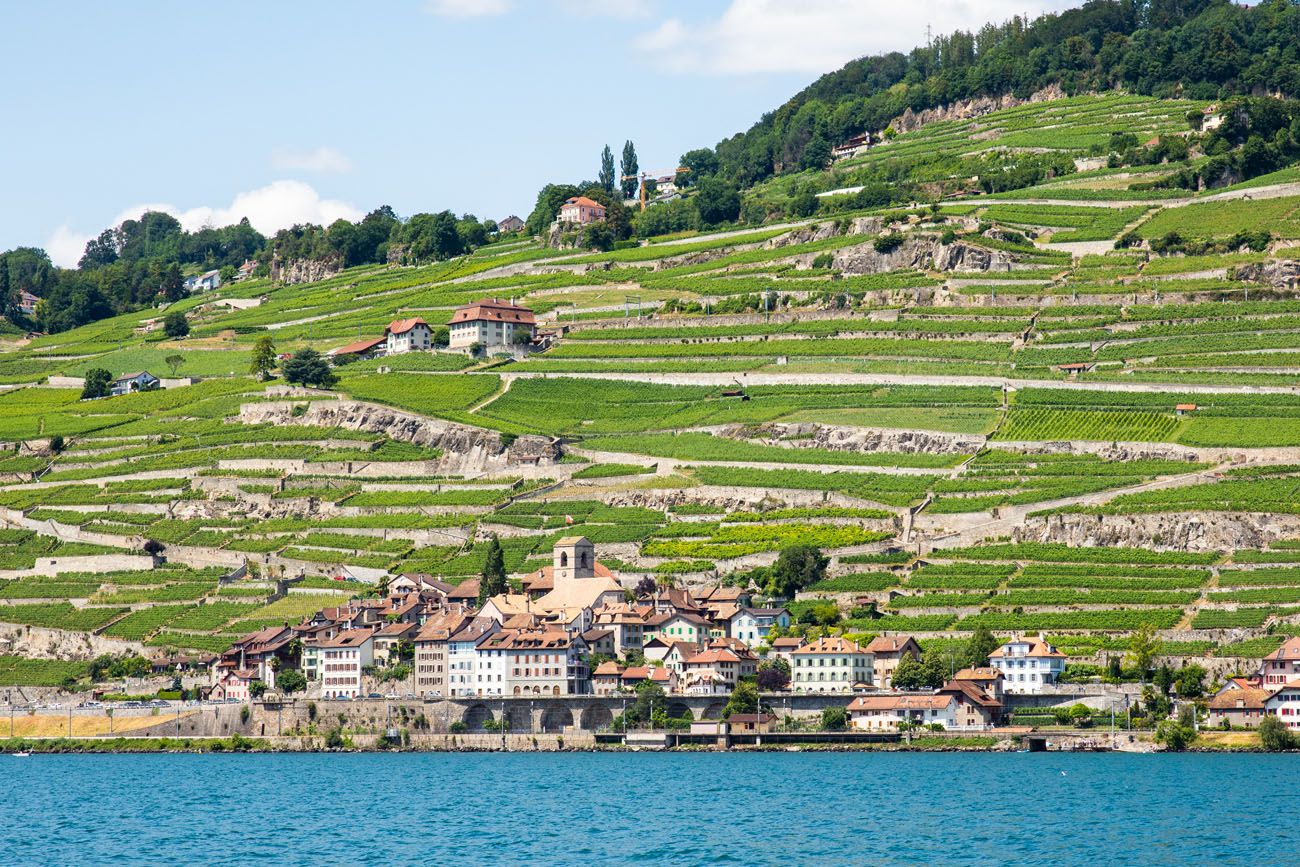 Lavaux Vineyards